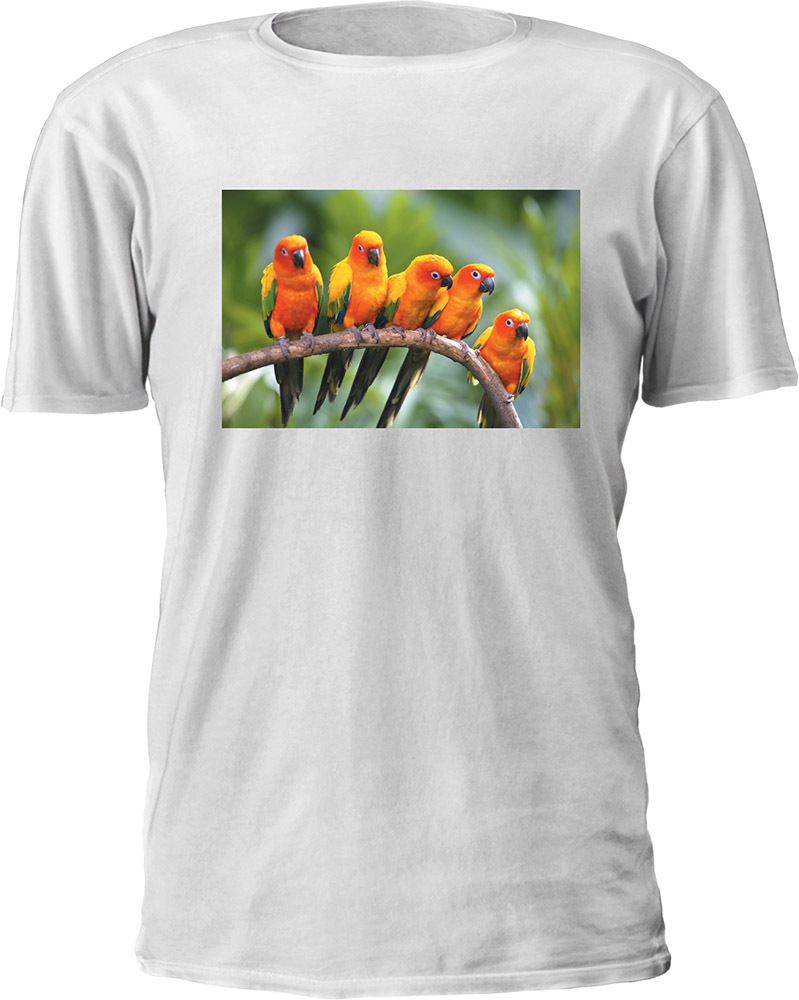 White T Shirt.jpg Печат на снимка върху бяла тениска с къс ръкав - Image 1